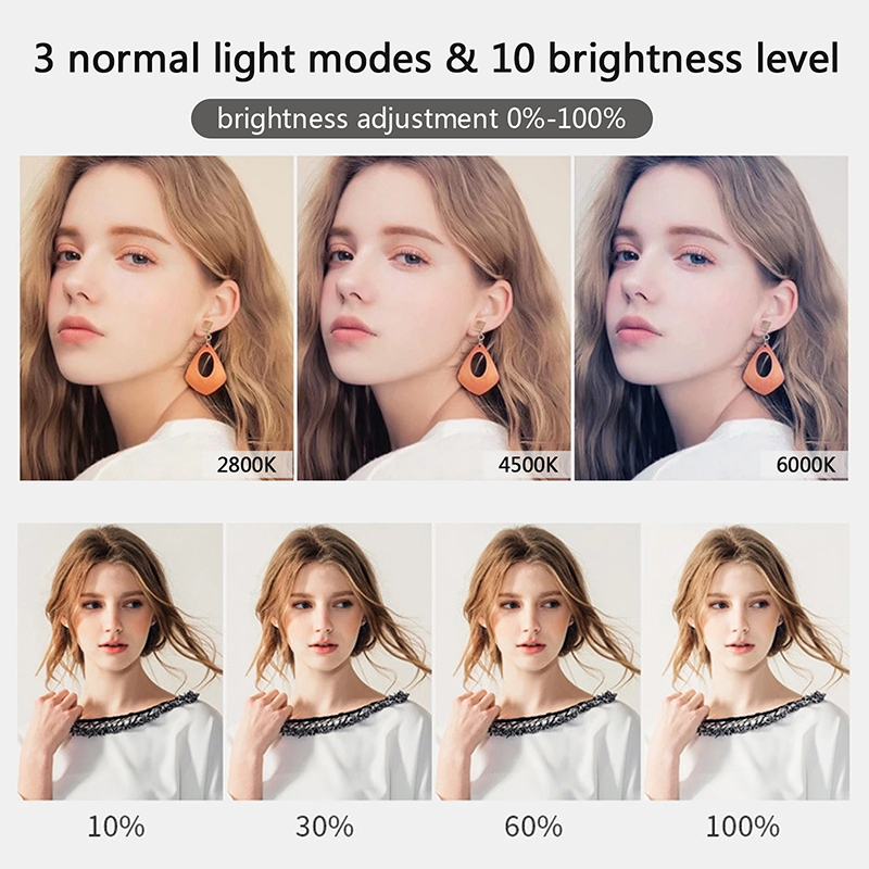 10 inch LED Selfie Ring Light  - Photography Lighting Circle review and price