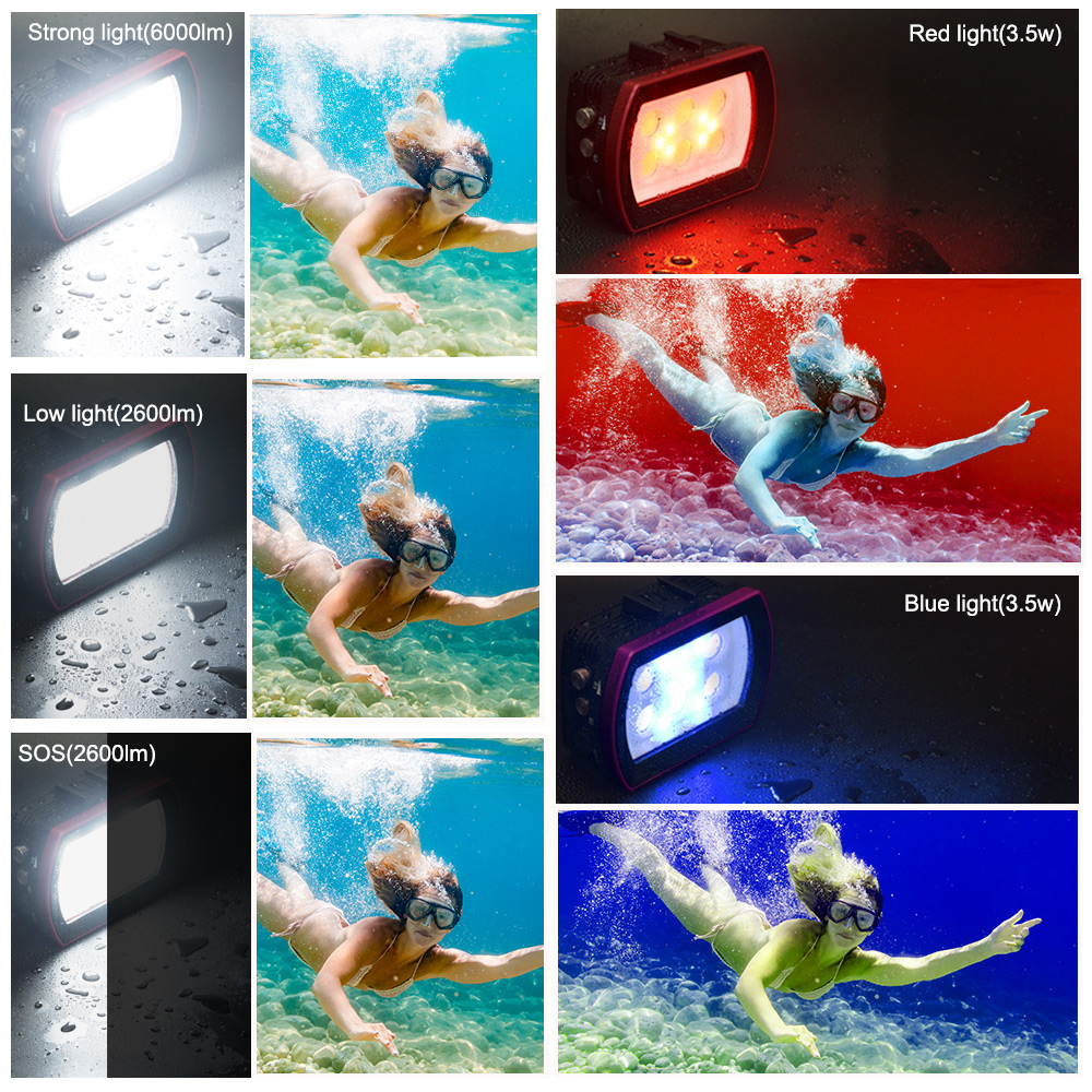 Seafrogs Aluminum LED Diving L - Photography Lighting Brands review and price